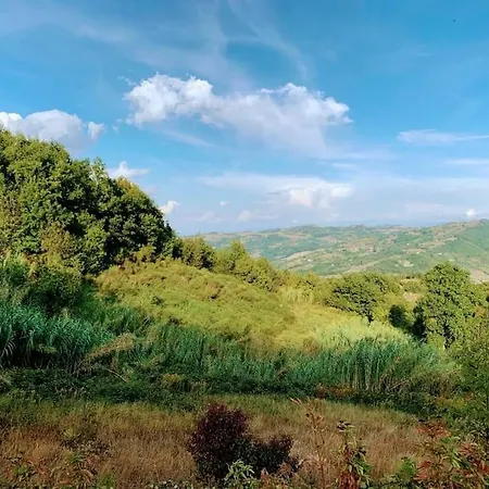 Lejlighed Il Galletto Selvatico Di Mussa - Langhe *