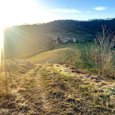 Il Galletto Selvatico Di Mussa - Langhe * Ponti