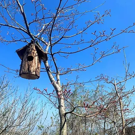 Il Galletto Selvatico Di Mussa - Langhe