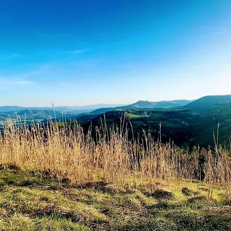 Il Galletto Selvatico Di Mussa - Langhe