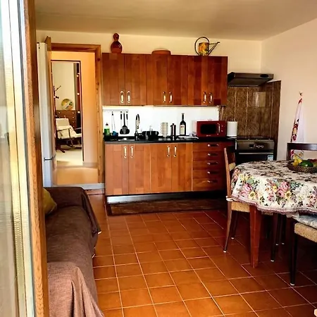 Il Galletto Selvatico Di Mussa - Langhe *