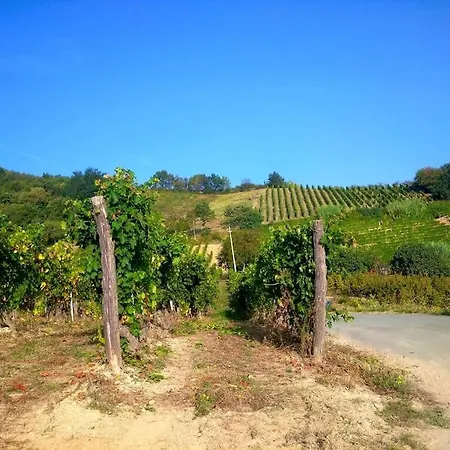 Il Galletto Selvatico Di Mussa - Langhe Lejlighed *