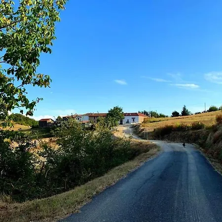 Il Galletto Selvatico Di Mussa - Langhe * Ponti