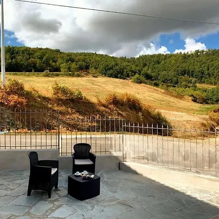 Il Galletto Selvatico Di Mussa - Langhe * Ponti