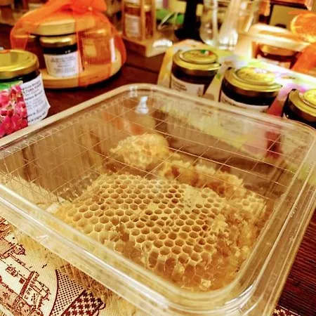 Il Galletto Selvatico Di Mussa - Langhe Lejlighed *