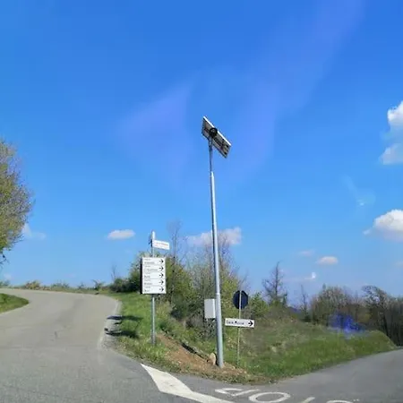 Il Galletto Selvatico Di Mussa - Langhe *