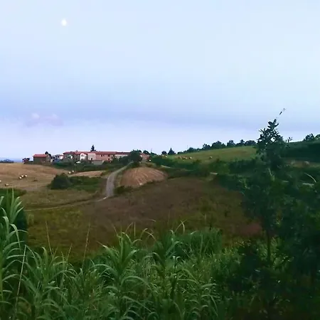 Apartmán Il Galletto Selvatico Di Mussa - Langhe Ponti