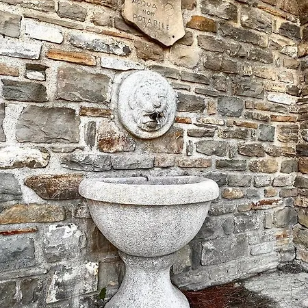 Il Galletto Selvatico Di Mussa - Langhe