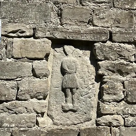 Il Galletto Selvatico Di Mussa - Langhe * Ponti