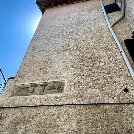 Il Galletto Selvatico Di Mussa - Langhe Lejlighed Ponti