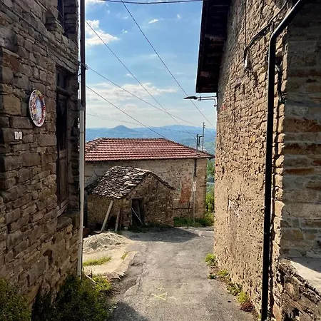 Il Galletto Selvatico Di Mussa - Langhe Lejlighed