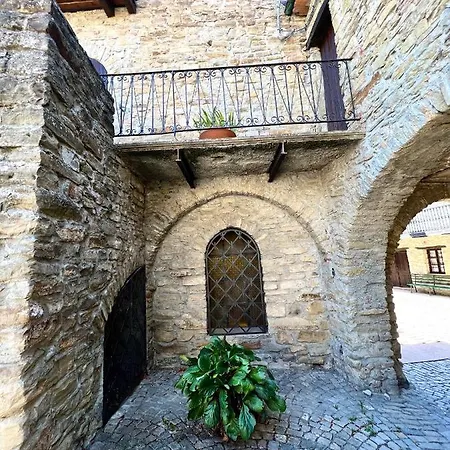 Il Galletto Selvatico Di Mussa - Langhe *