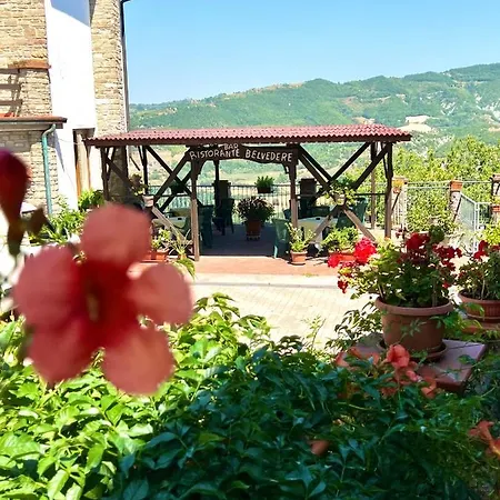 Il Galletto Selvatico Di Mussa - Langhe Ponti