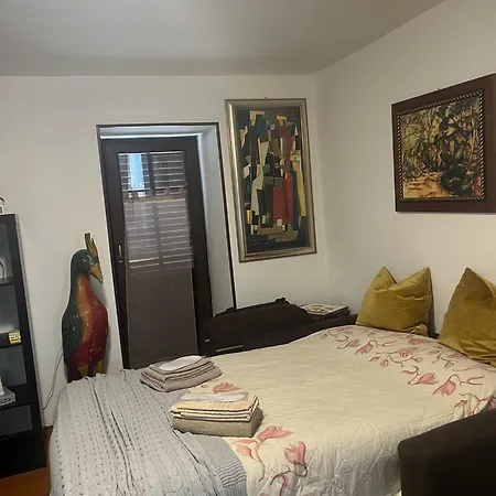 Il Galletto Selvatico Di Mussa - Langhe *