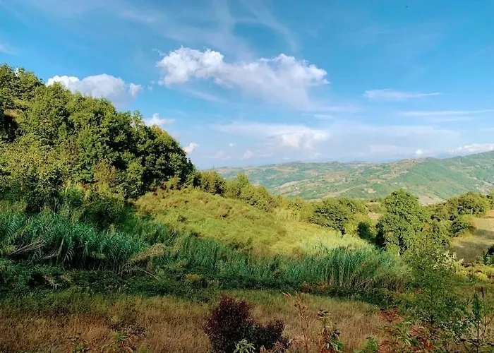 Appartement Il Galletto Selvatico Di Mussa - Langhe *