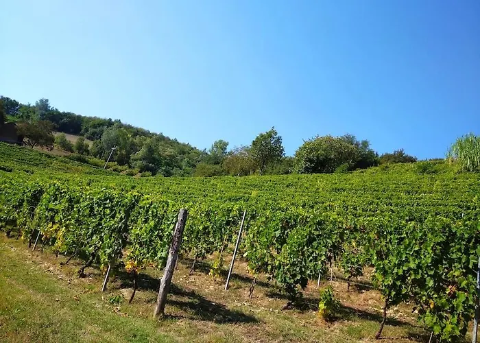 Il Galletto Selvatico Di Mussa - Langhe Apartamento Ponti