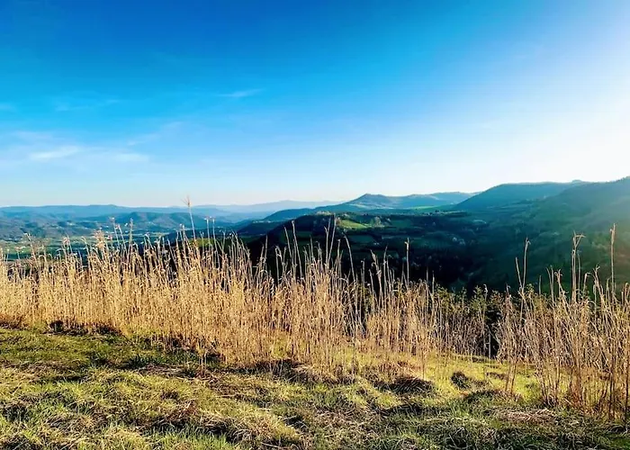 Il Galletto Selvatico Di Mussa - Langhe