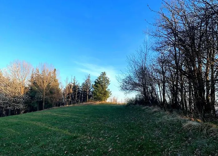 Apartamento Il Galletto Selvatico Di Mussa - Langhe *