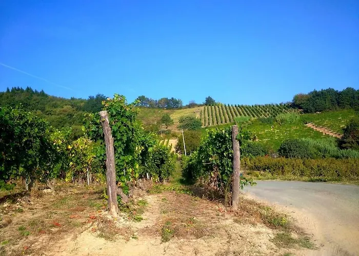 Il Galletto Selvatico Di Mussa - Langhe Apartamento *