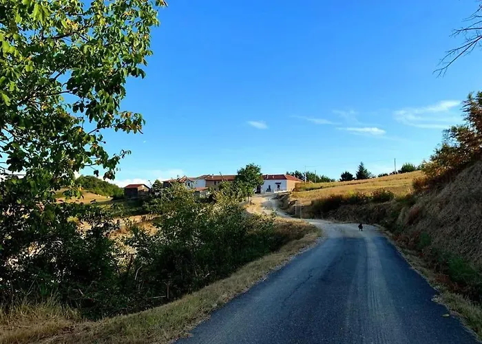 Il Galletto Selvatico Di Mussa - Langhe * Ponti