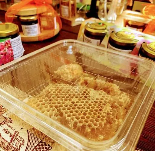 Il Galletto Selvatico Di Mussa - Langhe Apartamento *