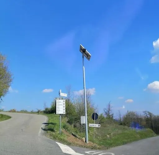 Il Galletto Selvatico Di Mussa - Langhe *