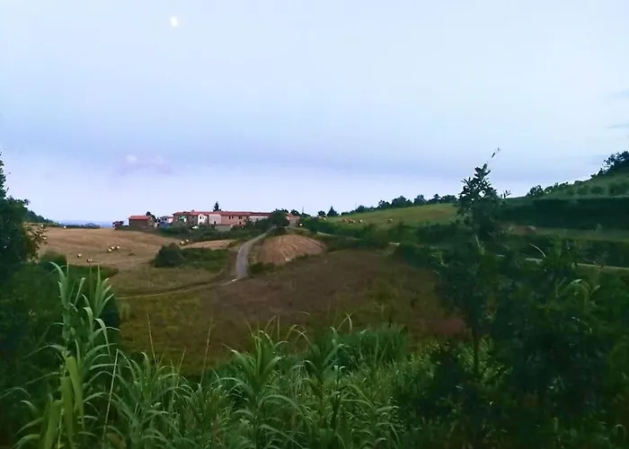 Appartement Il Galletto Selvatico Di Mussa - Langhe Ponti