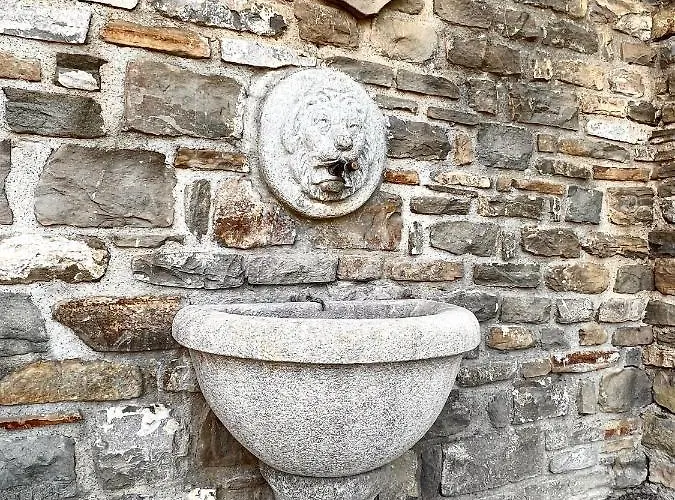 Il Galletto Selvatico Di Mussa - Langhe