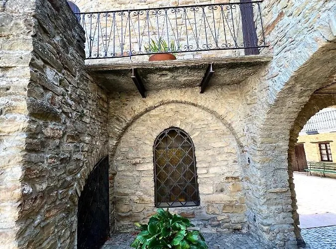 Il Galletto Selvatico Di Mussa - Langhe *