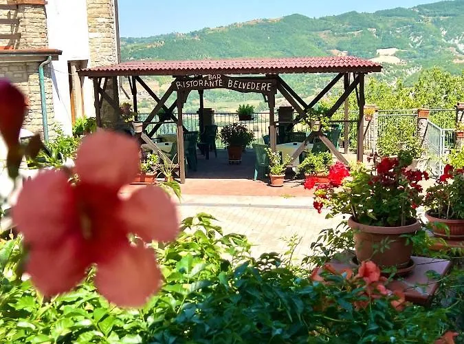 Il Galletto Selvatico Di Mussa - Langhe Ponti